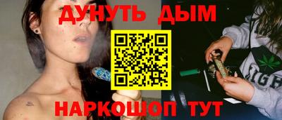 шишки Будённовск