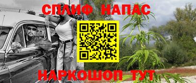 шишки Будённовск