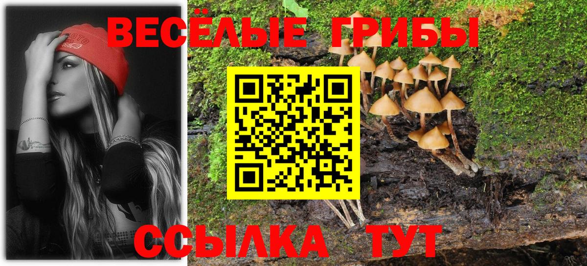 Галлюциногенные грибы Cubensis  Вход с VPN  Галлюциногенные грибы Cubensis  Минеральные Воды 